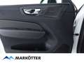 Volvo XC60 Plus Dark 2WD B4 Pilot/ACC/Pano/360Cam/AHK Weiß - thumbnail 14