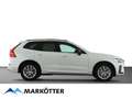 Volvo XC60 Plus Dark 2WD B4 Pilot/ACC/Pano/360Cam/AHK Weiß - thumbnail 7