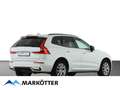 Volvo XC60 Plus Dark 2WD B4 Pilot/ACC/Pano/360Cam/AHK Weiß - thumbnail 6