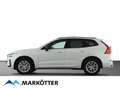 Volvo XC60 Plus Dark 2WD B4 Pilot/ACC/Pano/360Cam/AHK Weiß - thumbnail 3