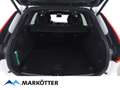 Volvo XC60 Plus Dark 2WD B4 Pilot/ACC/Pano/360Cam/AHK Weiß - thumbnail 13