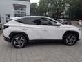 Hyundai TUCSON 1.6 T-GDI Trend ACC  Pano SpurH LM Weiß - thumbnail 9