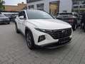 Hyundai TUCSON Plug-In Trend 4WD Panorama Kamera Blanc - thumbnail 2