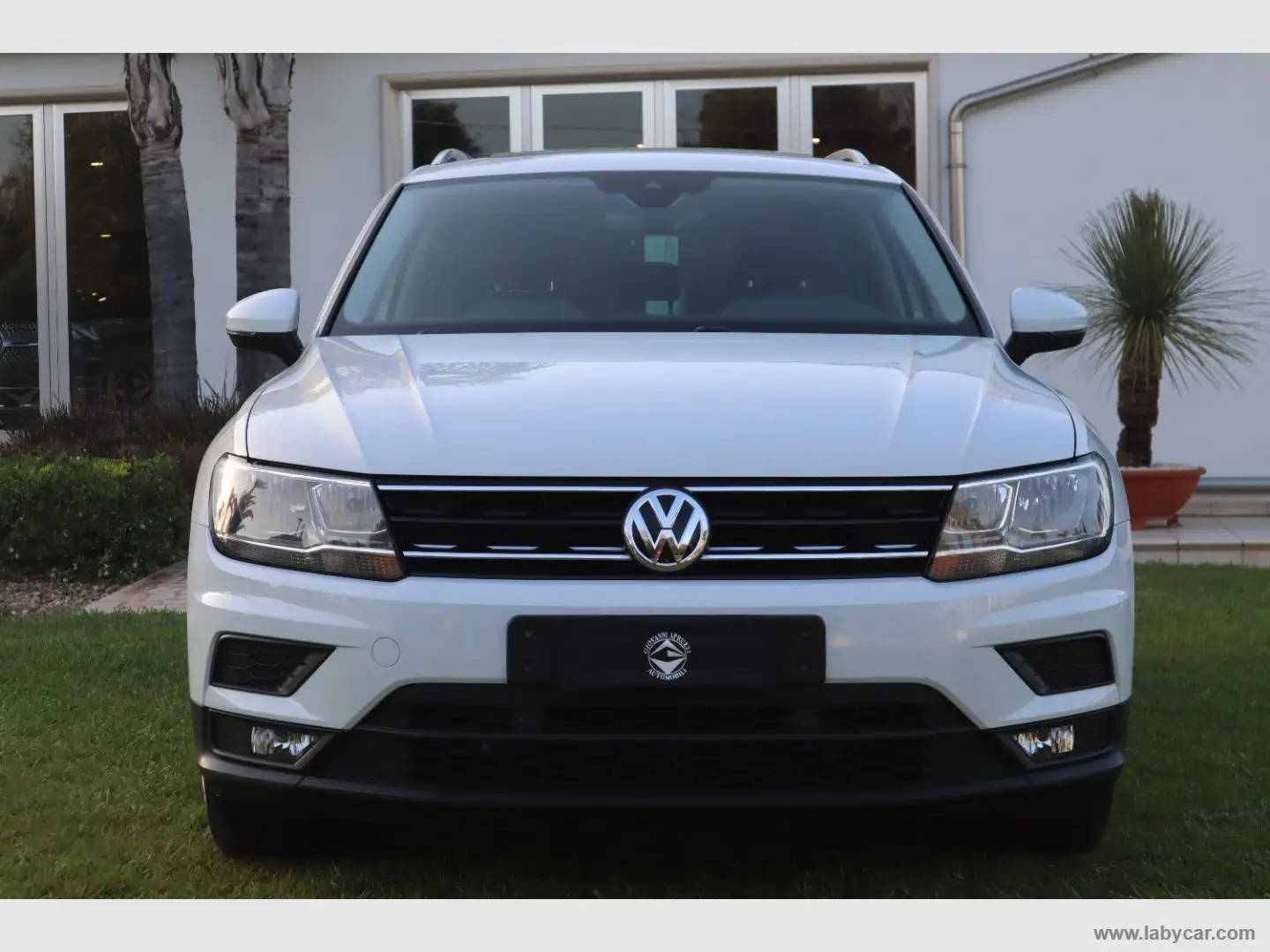 Volkswagen Tiguan 2.0 TDI DSG Business BMT Bianco - 2
