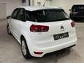 Citroen C4 Picasso C4 Picasso BlueHDi 100 S Weiß - thumbnail 5