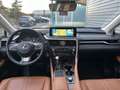 Lexus RX 450h Privilege Line Schwarz - thumbnail 40