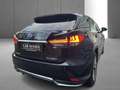 Lexus RX 450h Privilege Line Schwarz - thumbnail 6