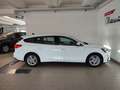 Ford Focus 1.0 EcoBoost Hybrid 125 CV SW Business Bianco - thumbnail 15