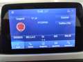 Ford Focus 1.0 EcoBoost Hybrid 125 CV SW Business Bianco - thumbnail 22