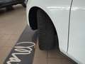 Ford Focus 1.0 EcoBoost Hybrid 125 CV SW Business Bianco - thumbnail 18