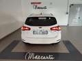 Ford Focus 1.0 EcoBoost Hybrid 125 CV SW Business Bianco - thumbnail 3