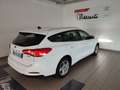 Ford Focus 1.0 EcoBoost Hybrid 125 CV SW Business Bianco - thumbnail 16