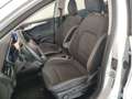 Ford Focus 1.0 EcoBoost Hybrid 125 CV SW Business Bianco - thumbnail 12