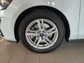 Ford Focus 1.0 EcoBoost Hybrid 125 CV SW Business Bianco - thumbnail 19