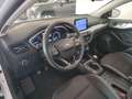 Ford Focus 1.0 EcoBoost Hybrid 125 CV SW Business Bianco - thumbnail 13