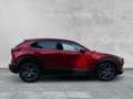Mazda E Series XCLUSIV-LIN 186 2WD MATRIX+360Â +LDR EXCLUSIVE-LIN Rot - thumbnail 6