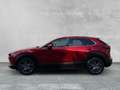 Mazda E Series XCLUSIV-LIN 186 2WD MATRIX+360Â +LDR EXCLUSIVE-LIN Rot - thumbnail 2