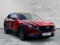 Mazda E Series XCLUSIV-LIN 186 2WD MATRIX+360Â +LDR EXCLUSIVE-LIN Rot - thumbnail 7