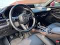 Mazda E Series XCLUSIV-LIN 186 2WD MATRIX+360Â +LDR EXCLUSIVE-LIN Rot - thumbnail 10