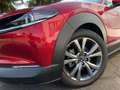 Mazda E Series XCLUSIV-LIN 186 2WD MATRIX+360Â +LDR EXCLUSIVE-LIN Rot - thumbnail 24