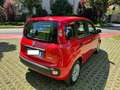 Fiat Panda 1.0 Firefly hybrid Easy S&S Rosso - thumbnail 3
