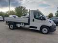 Fiat Ducato 35 2.2 Mjt 140CV PM Cassonato Maxi Ribaltabile Blanc - thumbnail 4