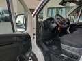 Fiat Ducato 35 2.2 Mjt 140CV PM Cassonato Maxi Ribaltabile Blanc - thumbnail 11