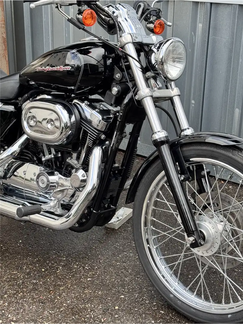 Harley-Davidson Sportster 1200 - 2