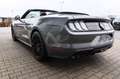 Ford Mustang GT Convertible 5.0 V8 4,99% Finanzierung Grey - thumbnail 6