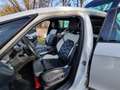 Citroen DS5 DS5 Hybrid4 EGS6 SportChic Weiß - thumbnail 28