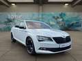 Skoda Superb Lim. 2.0 TSI Sportline 4x4 *CANTON*STANDHEIZUNG* Wit - thumbnail 5