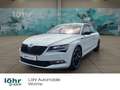 Skoda Superb Lim. 2.0 TSI Sportline 4x4 *CANTON*STANDHEIZUNG* Wit - thumbnail 1