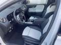 Mercedes-Benz B 250 4MATIC Premium Plus* FahrassistenzPaket* Weiß - thumbnail 9