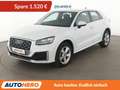 Audi Q2 1.6 TDI Sport Aut.*NAV*ACC*VC*PDC*SHZ*CARPLAY Weiß - thumbnail 1