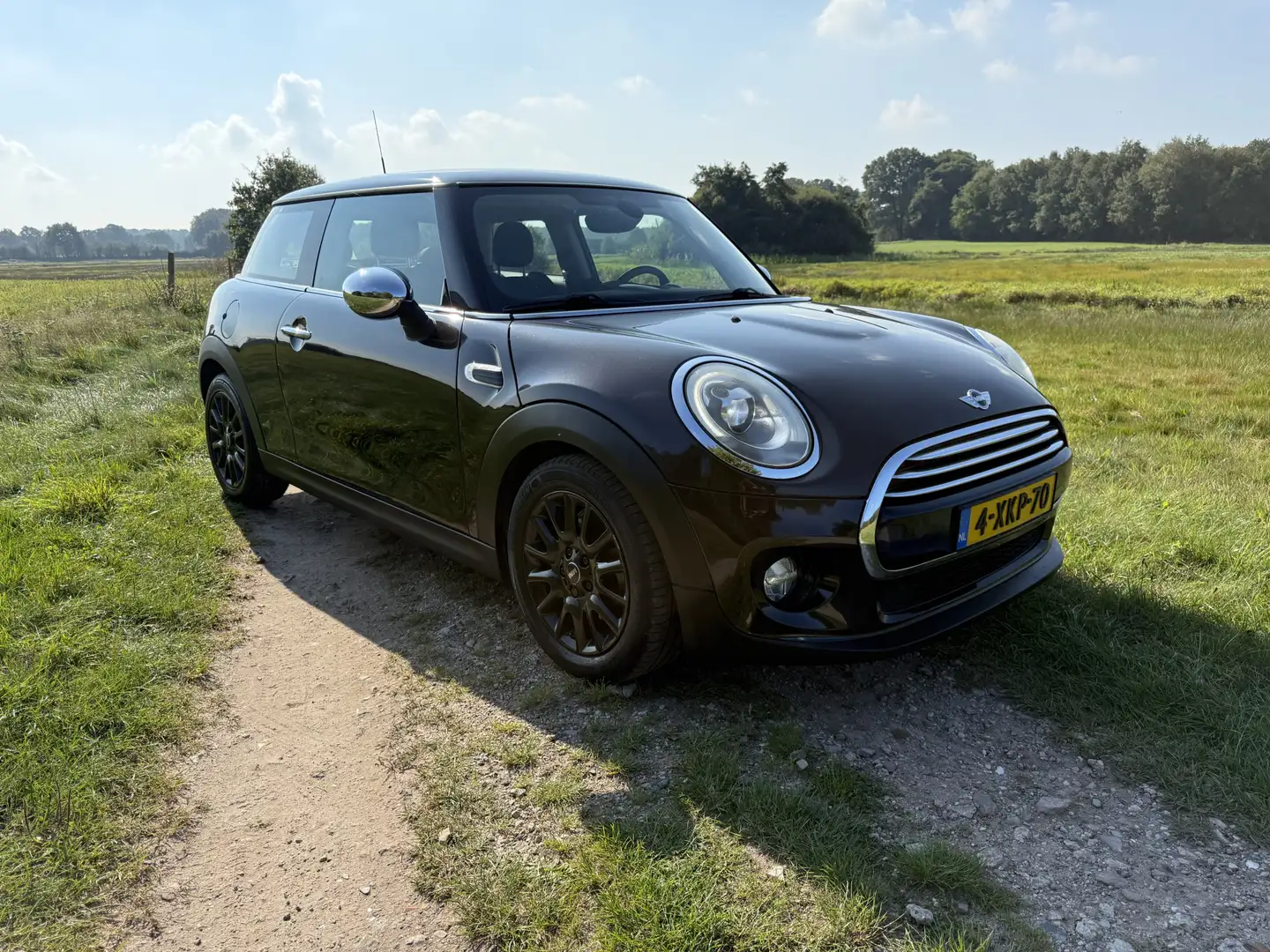 MINI Cooper Mini 1.5 Chili Business. Half leer,Navi,LED. Zeer Brun - 2