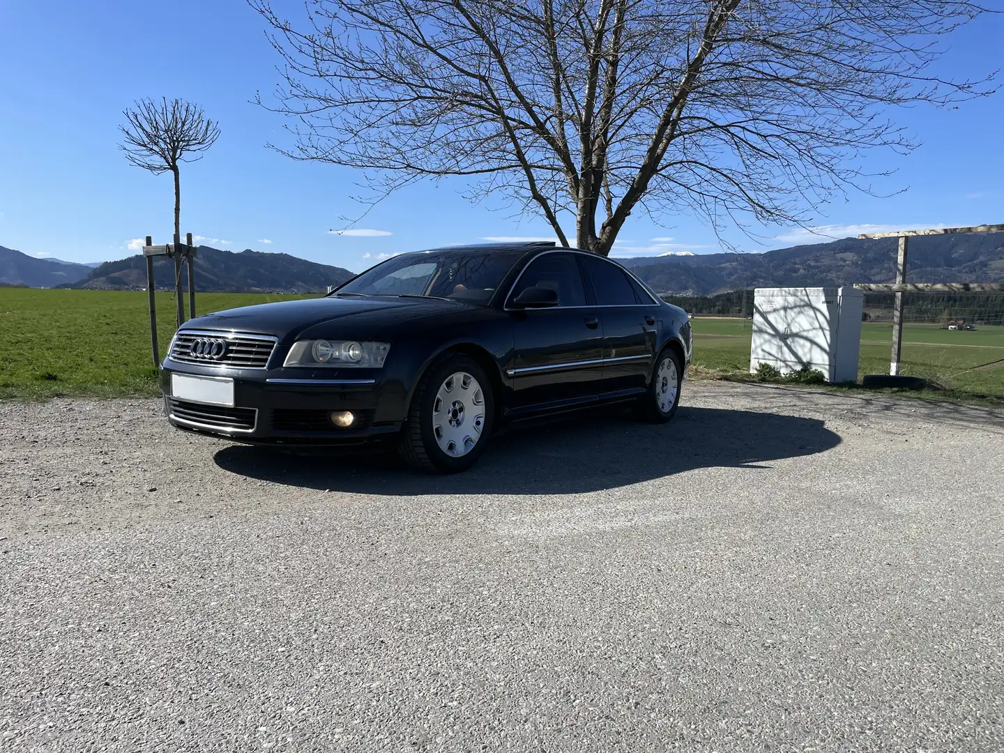 Audi A8 3.0 TDI quattro Bose Luft Schwarz - 1