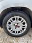 Fiat Panda 1.2 EasyPower Lounge Bianco - thumbnail 14