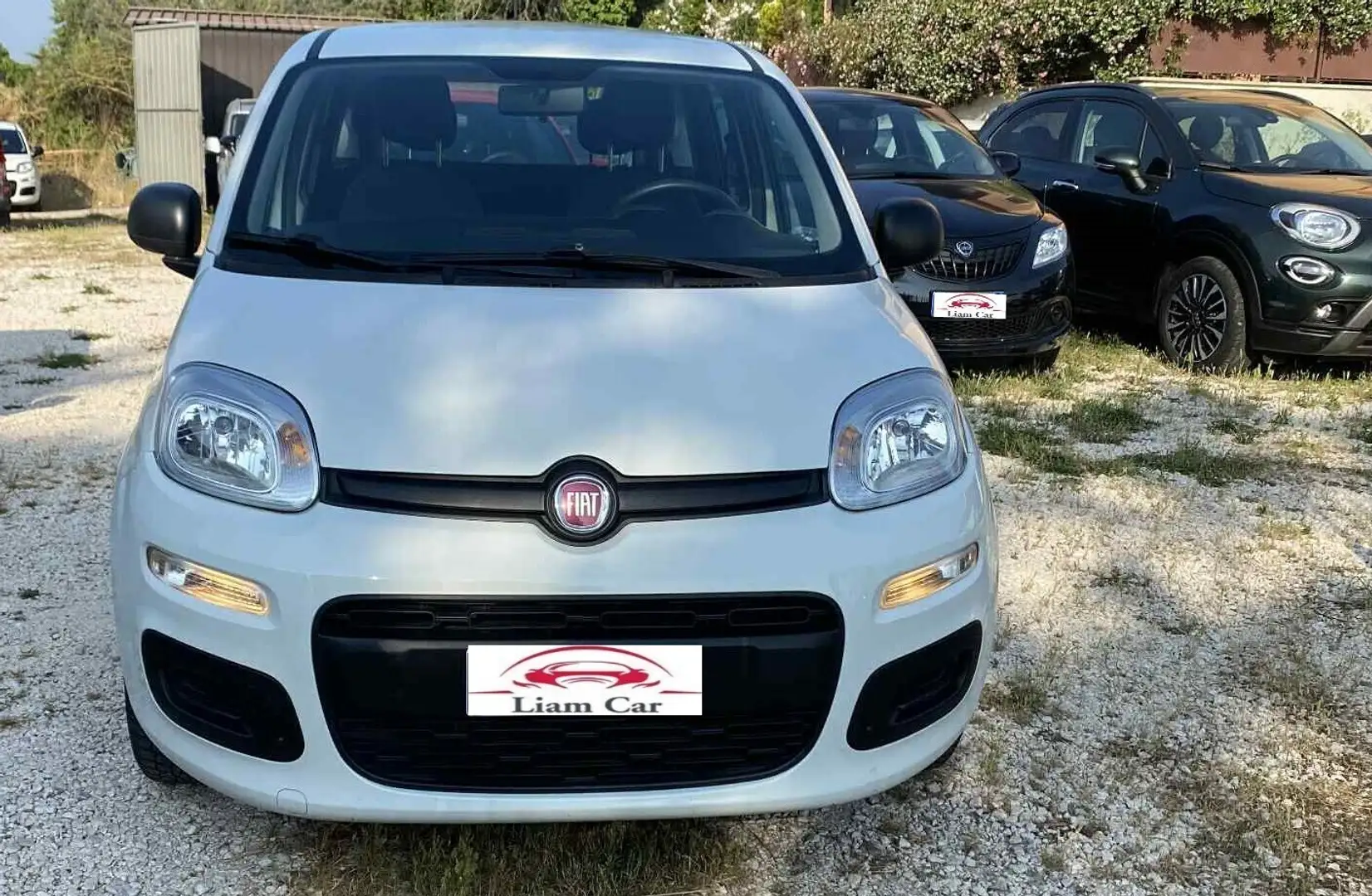 Fiat Panda 1.2 EasyPower Lounge Bianco - 2
