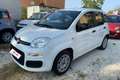 Fiat Panda 1.2 EasyPower Lounge Bianco - thumbnail 1