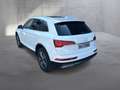 Audi Q5 50 TFSI e quattro Weiß - thumbnail 6