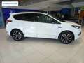 Ford Kuga 1.5 EcoB. Auto S&S ST-Line Limited Edition 4x2 150 Blanco - thumbnail 5
