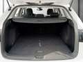 Volkswagen Golf VIII Var 2.0 TDI DSG Life LED+MEGAPREIS Weiß - thumbnail 20