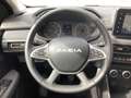 Dacia Sandero Stepway Expression TCe 90 Blau - thumbnail 10