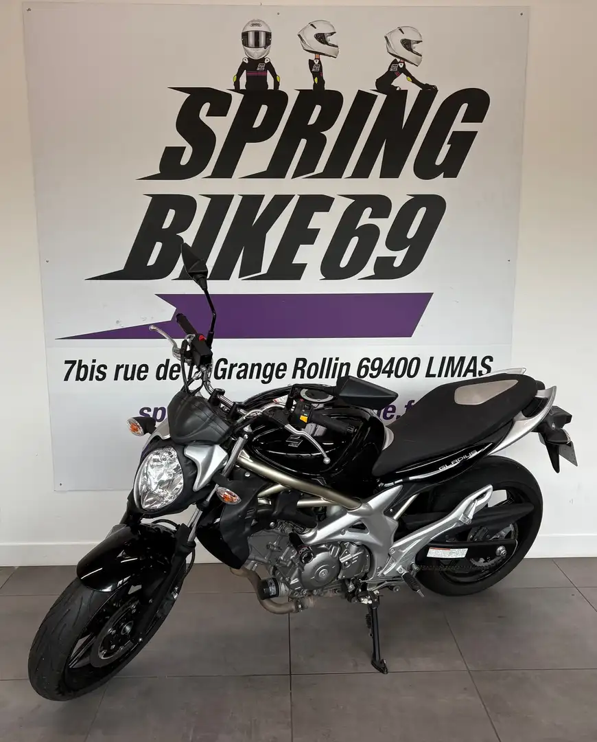 Suzuki Gladius 650 - 2