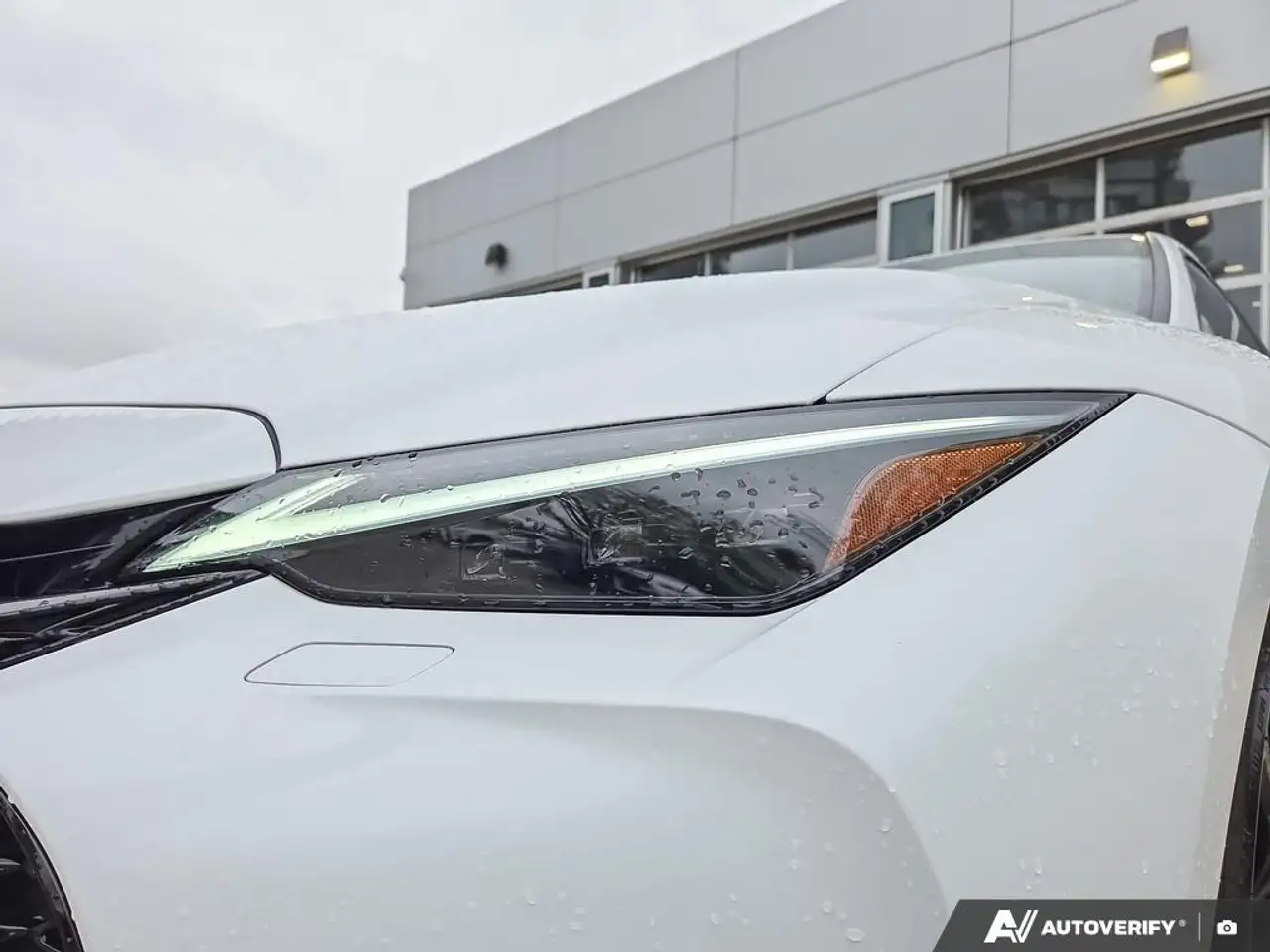 Lexus IS снимка Lexus IS