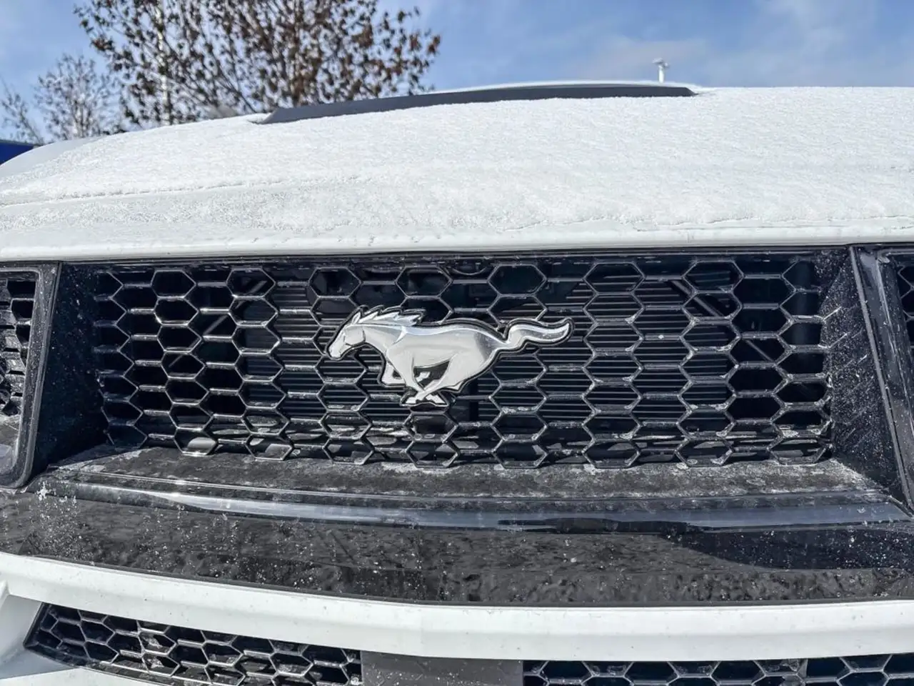 Ford Mustang снимка Ford Mustang