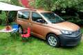 Volkswagen Caddy (California) Camper extra gr.Bett + Sitzecke uvm Braun - thumbnail 4