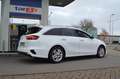 Kia Ceed SW / cee'd SW Sportswagon 1.0 T-GDi DynamicPlusLine| PRIVACY GLA Wit - thumbnail 10