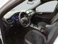 Ford Kuga 2.5 Duratec PHEV ST-LINE X Blanc - thumbnail 10