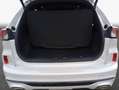 Ford Kuga 2.5 Duratec PHEV ST-LINE X Blanc - thumbnail 9